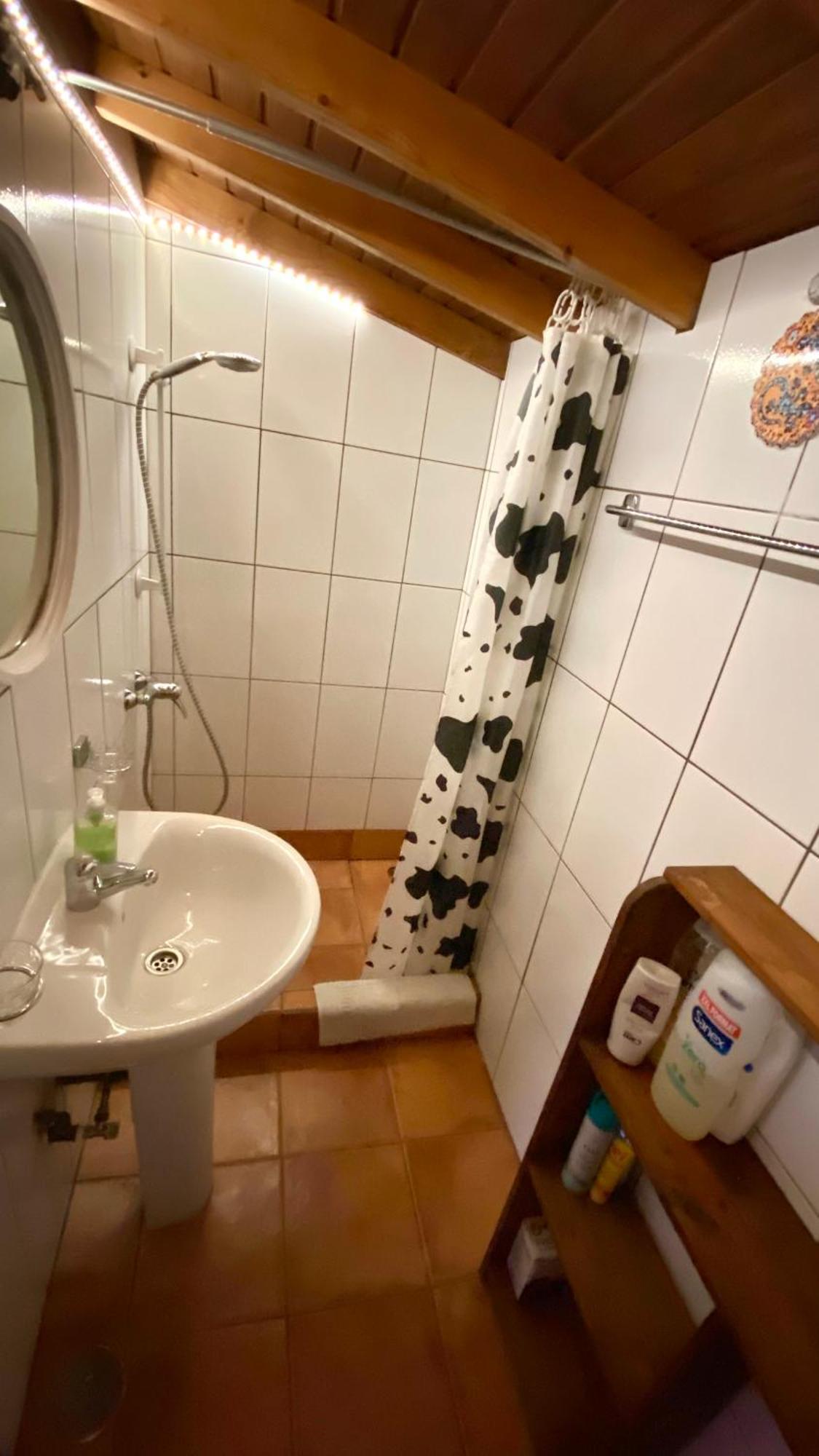Mazo La Habitación