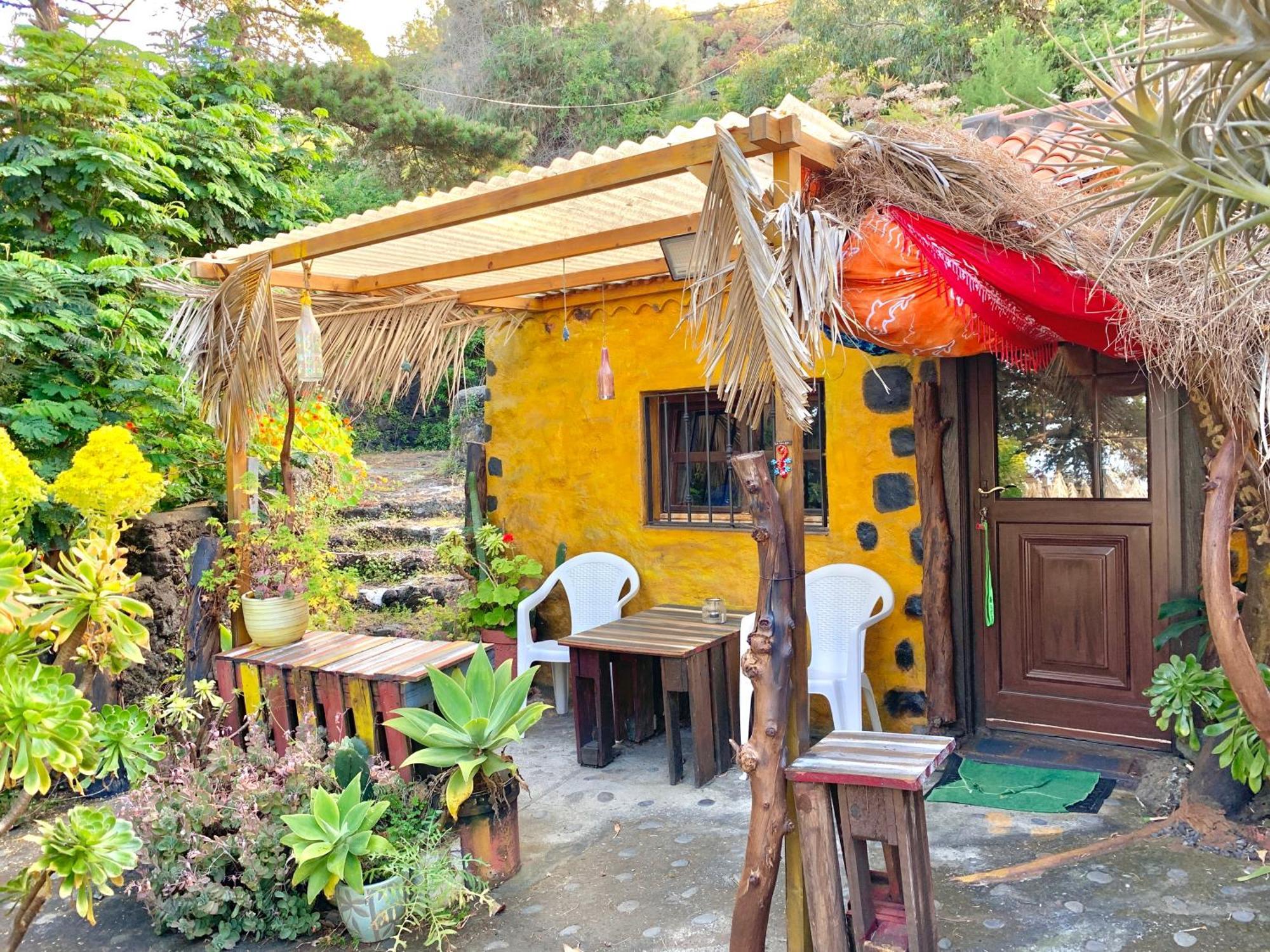 Mazo La Habitación *